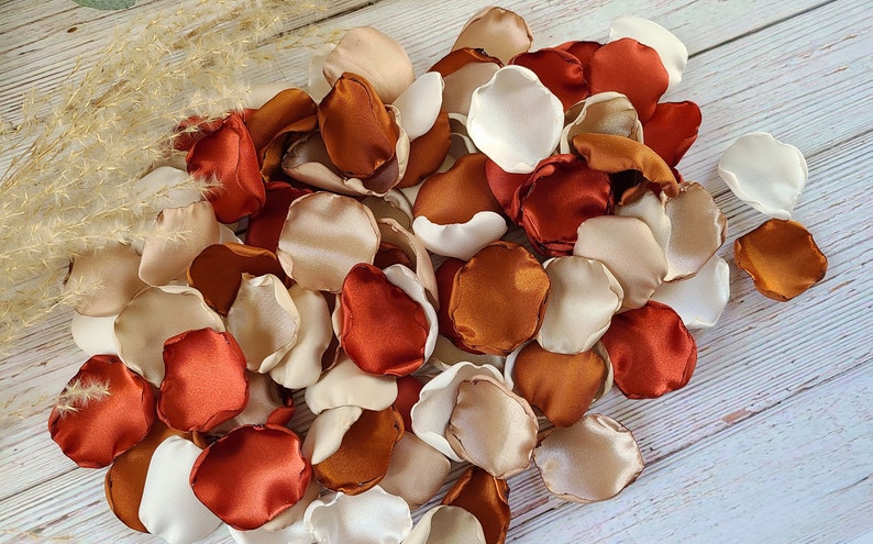 Rust, Terracotta Wedding Decor, Neutral Beige Rose Petals, Wedding Aisle Decor, Rustic Flower Girl Petals, Country Barn, Boho Bridal Shower Bild 5