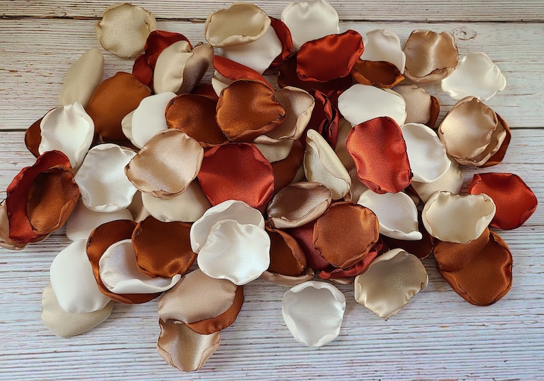 Rust, Terracotta Wedding Decor, Neutral Beige Rose Petals, Wedding Aisle Decor, Rustic Flower Girl Petals, Country Barn, Boho Bridal Shower Bild 9