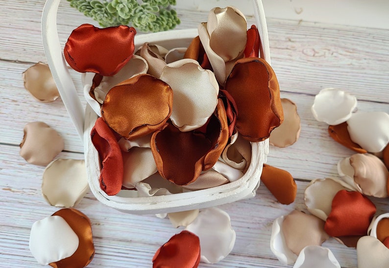 Rust, Terracotta Wedding Decor, Neutral Beige Rose Petals, Wedding Aisle Decor, Rustic Flower Girl Petals, Country Barn, Boho Bridal Shower Bild 8