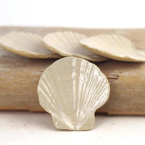 May include: A collection of four off-white ceramic seashell-shaped dishes. The dishes have a textured surface with radial lines, resembling a real seashell. They are arranged on a light brown wooden surface, with one dish in the foreground and three in the background.