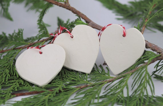 Handmade Sugar Saver Ornament - Holiday Gift Edition with Heart Pouch