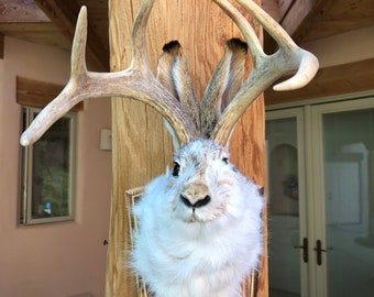 Jackalope Mount Kit