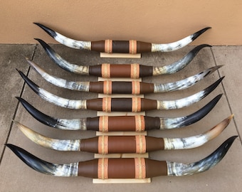 Mounted Steer horn 6 feet to 6' 4" wide (one only)  polished cow horns bull Western Decoration