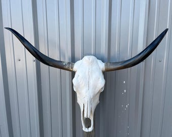 Cráneo de novillo de cuernos largos con cuernos pulidos de 3 pies y 7 pulgadas de ancho, cabeza de toro de vaca, auténtica decoración occidental
