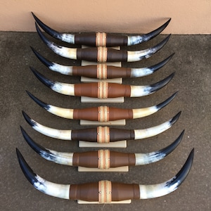 Mounted Steer horn (one only) 3&#39; feet TO 3&#39; feet 5&quot; inch WIDE polished cow horns bull Western Decoration