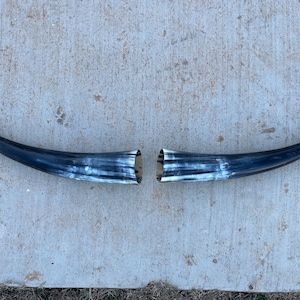 Op de afbeelding: Twee gebogen, donkergekleurde hoorns met een gepolijste afwerking, elk met een wit en grijs gemarmerd patroon nabij de basis. De hoorns worden gepresenteerd tegen een betonnen oppervlak.