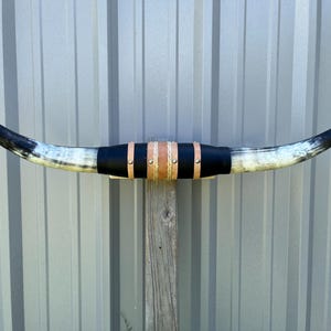 Opgezette stierenhoorn, 94 cm breed, gepolijste koehoorns, stier, westerse decoratie