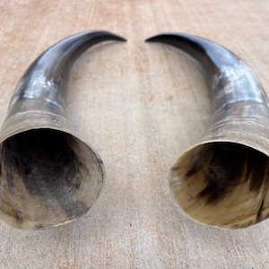 Op de afbeelding: Twee gepolijste, gebogen hoorns met een donkere, glanzende afwerking. De hoorns hebben een lichtgekleurde basis en een glad, reflecterend oppervlak. De open uiteinden onthullen een textuur aan de binnenkant. De hoorns zijn waarschijnlijk voor decoratief of ceremonieel gebruik.