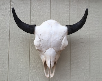 scene Frastødende Bageri Native Buffalo Skull | Etsy