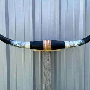 Opgezette stierenhoorn, 90 cm breed, gepolijste koehoorns, stier, westerse decoratie