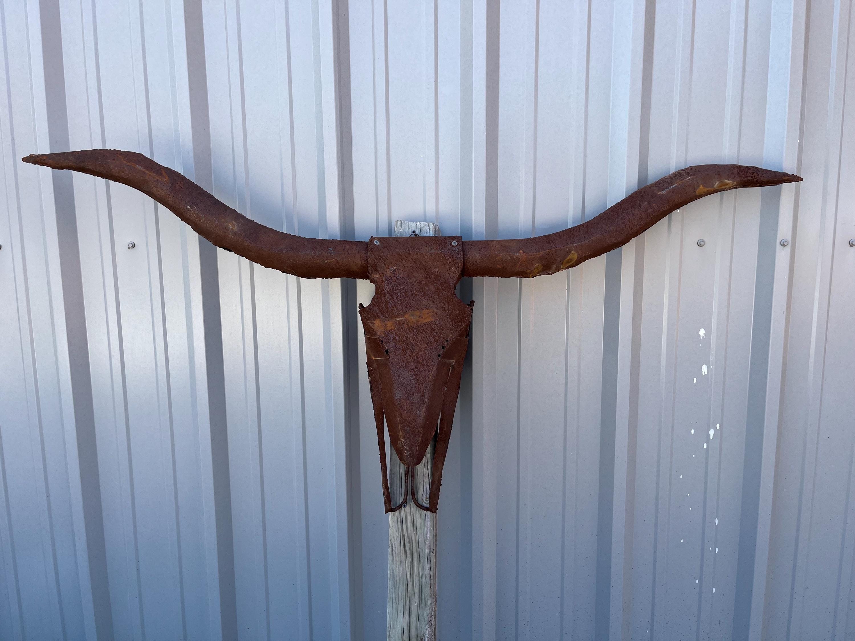 Authentic Longhorn Horns Mounted - Etsy