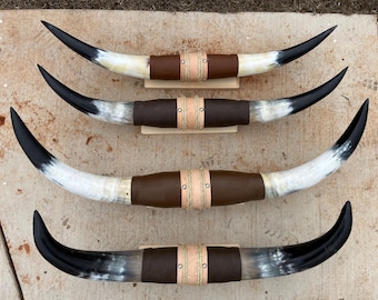 Par de cuernos de toro montados (solo uno) de 74 cm a 89 cm de ancho, cuernos de vaca pulidos, decoración estilo western.