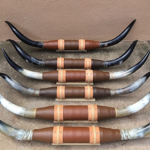 Mounted Steer horn 4 feet 1” wide to 4 feet 9" inch (one only)  polished cow horns bull Western Decoration