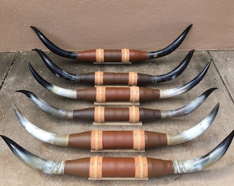 Mounted Steer horn 4 feet 1” wide to 4 feet 9" inch (one only)  polished cow horns bull Western Decoration
