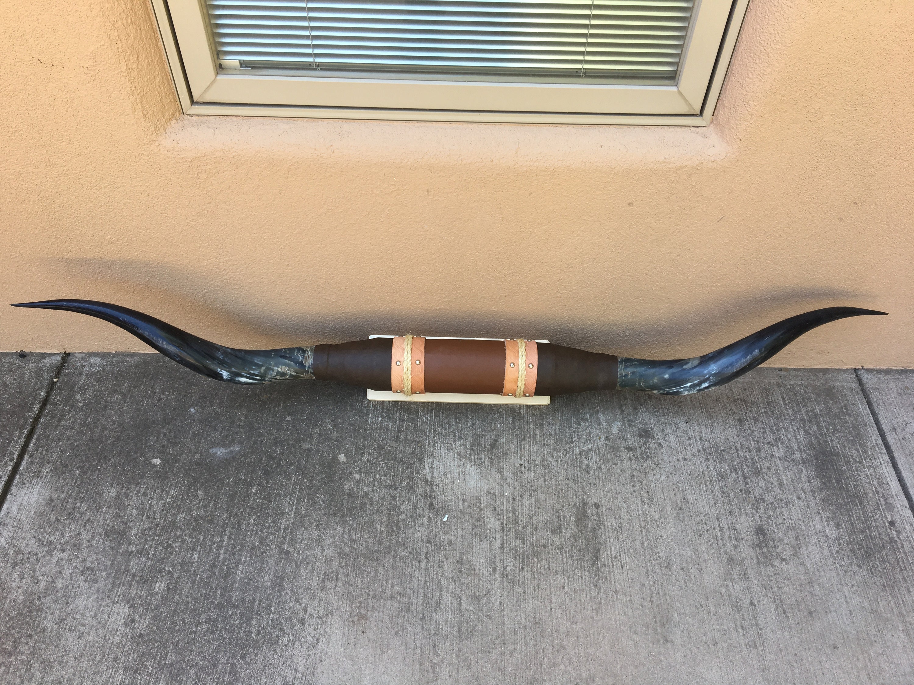 Mounted steer horns 5 feet 6 inch wide. Mount bull cow Etsy