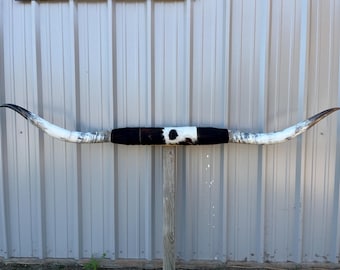 マウントされた雄牛の角 8 フィート 1 インチ幅 磨かれた牛の角 雄牛