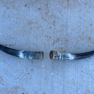 Op de afbeelding: Twee gebogen, holle hoorns met een donkere, glanzende afwerking en wit en grijs marmering. De hoorns zijn aan de basis afgesneden, waardoor een ruw, getextureerd interieur zichtbaar wordt. De hoorns zijn waarschijnlijk decoratief.