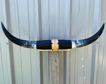 雄牛の角（1本のみ）黒色火薬や西洋装飾、工芸品に使用できる天然牛角
