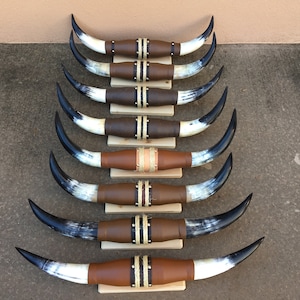 Mounted Steer horn pair (one only) 30" TO 35" WIDE polished cow horns bull Western Decoration