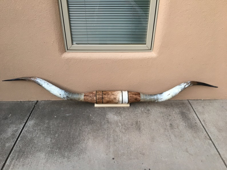 Montierte Lenkhörner 7 Füße 5 Zoll breit poliert KuhHorn Stier | Etsy