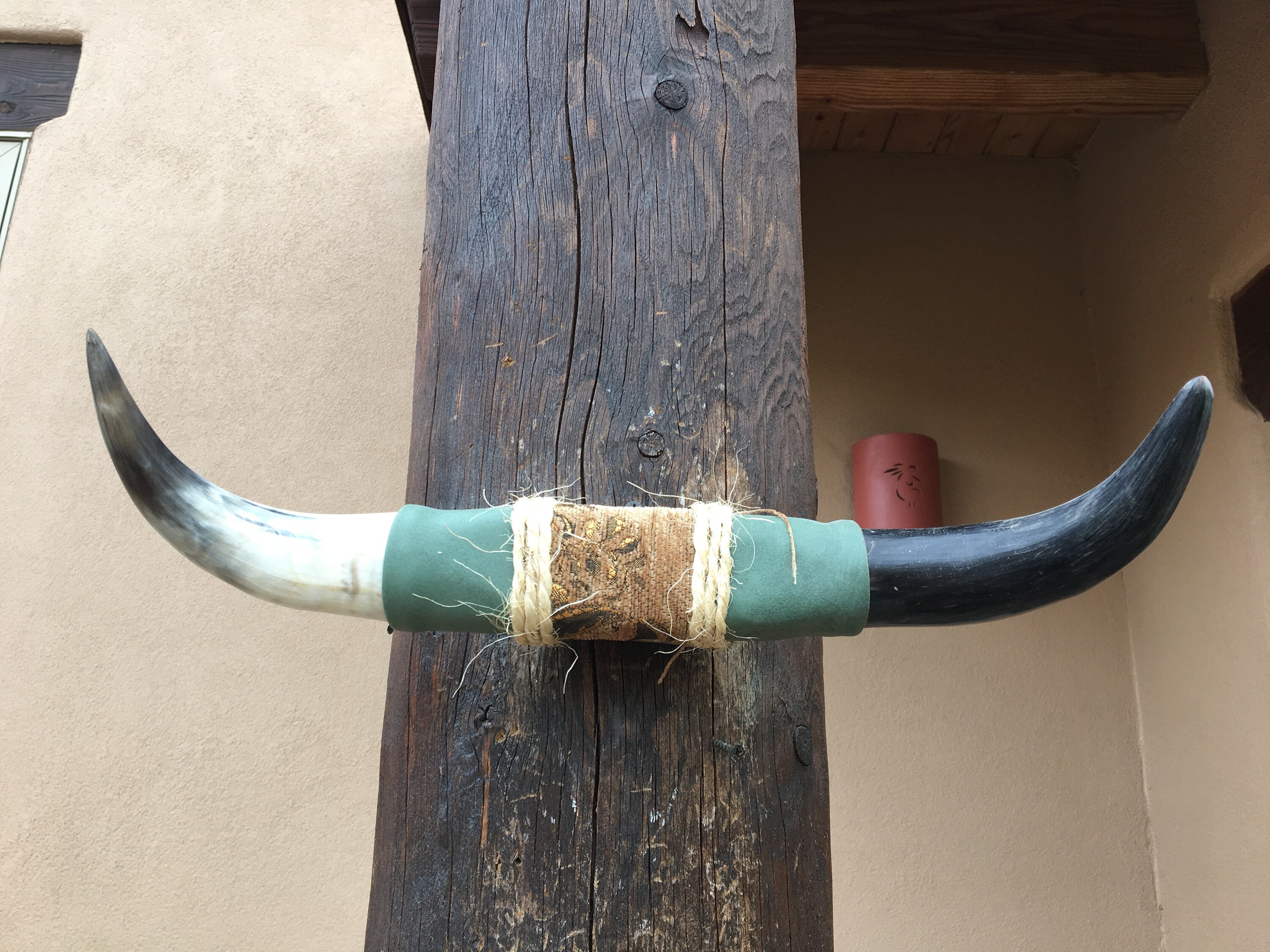 Mounted Bull Horns for sale Only 3 left at 65