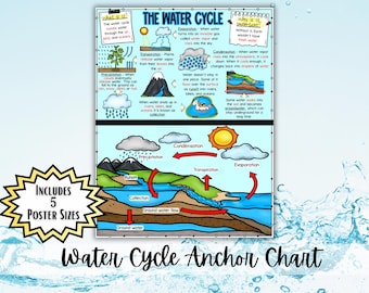 Quadro de Referência do Ciclo da Água | Pôster do Ciclo Hidrológico | Decoração de Ciências para o Ensino Fundamental II: Evaporação, Condensação e Precipitação