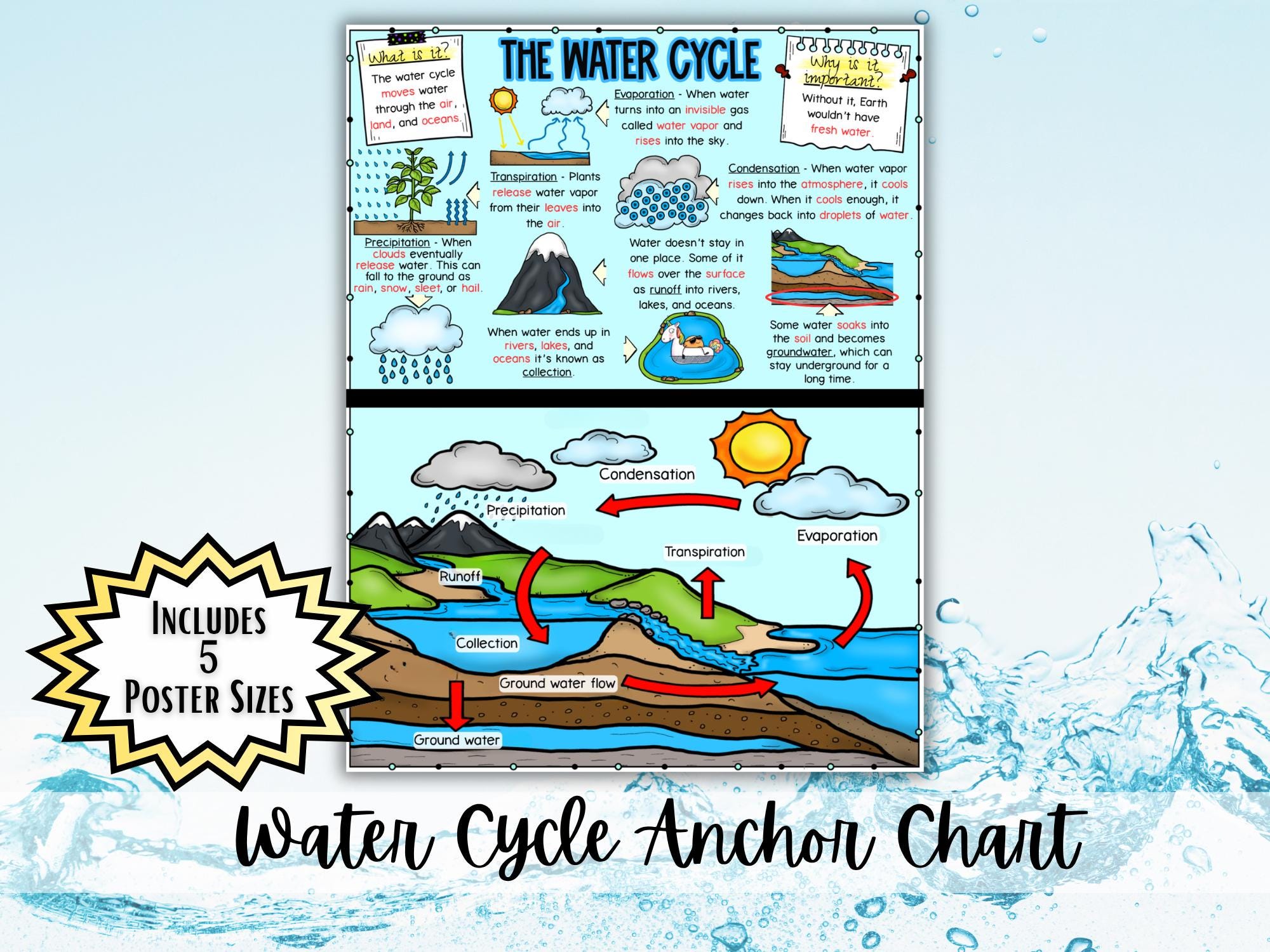 Water Cycle Anchor Chart | Hydrologic Cycle Poster | Evaporation ...