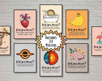 Pôsteres para decoração de sala de aula de ciências | Conjunto de pôsteres com fatos científicos para parede | 24 pôsteres de ciências para o Ensino Fundamental II | Decoração de sala de aula para imprimir | Presente para professor