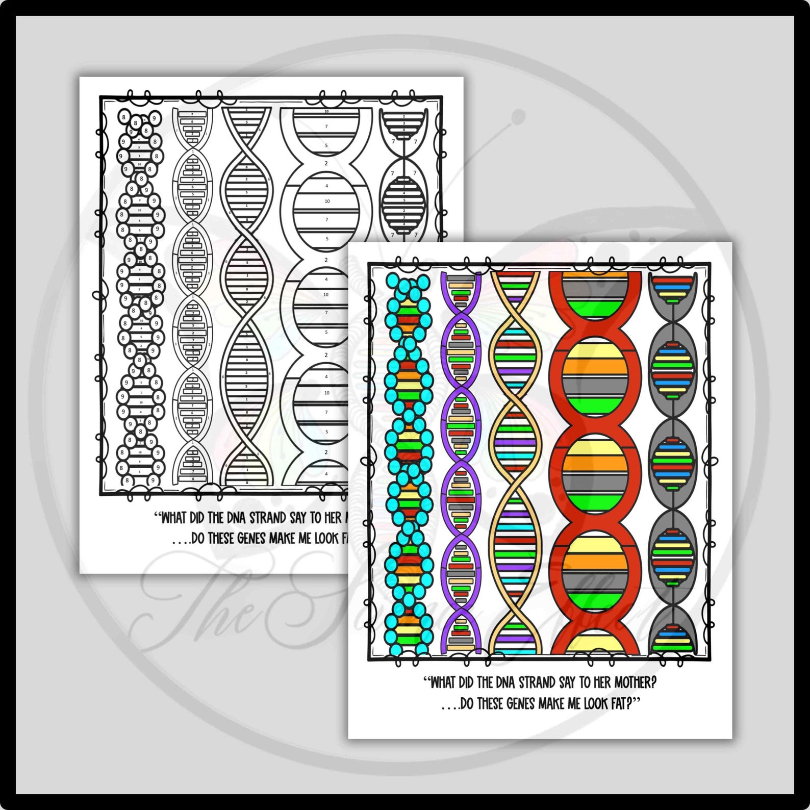 Heredity Color by Number Worksheet: Science Biology Activity (PDF & PPT ...