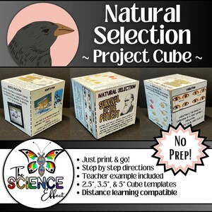 May include: A science project cube with the title "Natural Selection" and the subtitle "Project Cube." The cube features illustrations and text about genetic mutation, adaptation, and variation. The Science Effect logo is also visible.