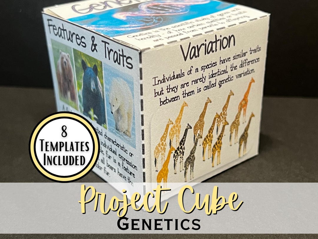 Genetics 3D Research Project Cube | Middle School Science Project ...