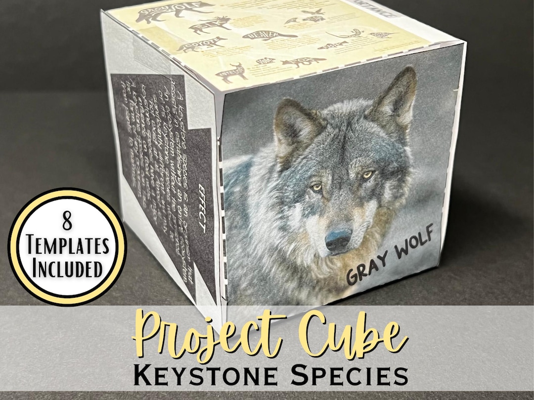 Keystone Species 3D Science Project Cube | Environmental Research ...