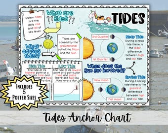 Pôster com gráfico de marés oceânicas | Decoração para sala de aula de ciências do ensino fundamental | Pôster de marés para imprimir | Pôster de ciências da Terra