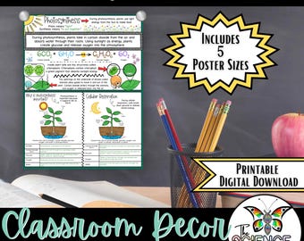Photosynthesis Poster | Photosynthesis & Cellular Respiration Anchor Chart | Plant Cells Biology Classroom Decor | Middle School Science