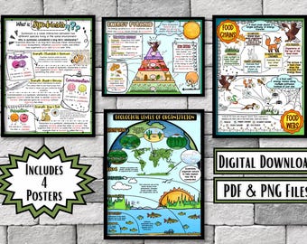 Pacote de pôsteres de ecologia | Cadeias alimentares, Pirâmide de energia, Simbiose, Ecossistemas | Cartazes de referência de ciências para o ensino fundamental II