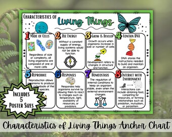 Pôster com as Características dos Seres Vivos | Quadro de Referência dos 8 Processos Vitais | Decoração para Sala de Aula de Ciências da Vida do Ensino Fundamental II