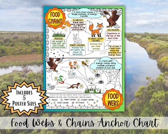 Pôster sobre Cadeias Alimentares e Teias Alimentares | Fluxo de Energia, Produtores e Consumidores | Decoração para Sala de Aula de Ciências do Ensino Fundamental II