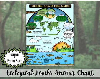 Pôster sobre os Níveis Ecológicos de Organização | Quadro de Referência sobre Ecossistema, Bioma e Biosfera | Decoração para Sala de Aula de Ciências do Ensino Fundamental II