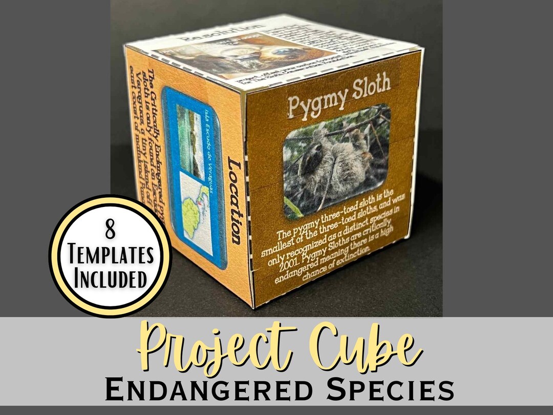 Endangered Species 3D Science Project Cube | Environmental Research ...
