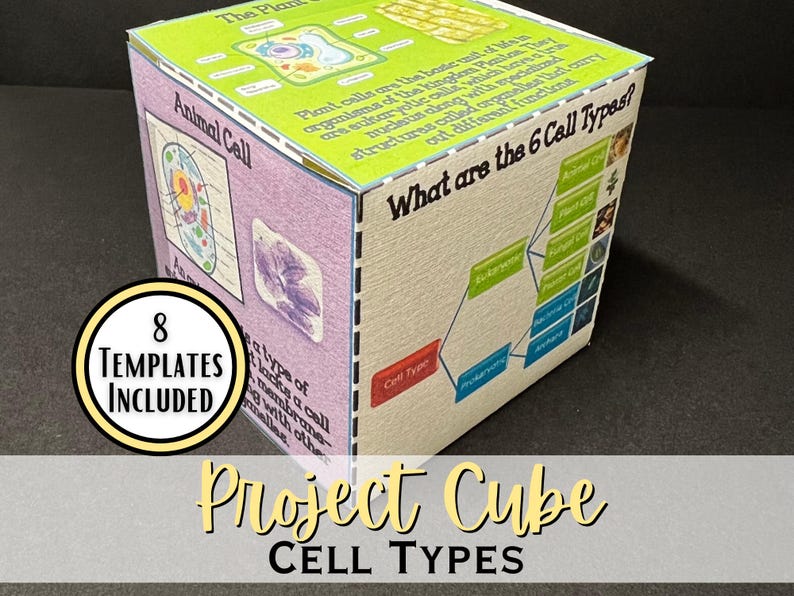 Cell Types 3D Research Project Cube | Middle School Science Project ...