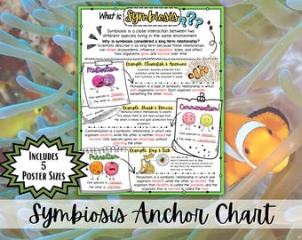 Pôster sobre Simbiose | Quadro de Referência sobre Mutualismo, Comensalismo e Parasitismo | Decoração para Sala de Aula de Ecologia do Ensino Fundamental II