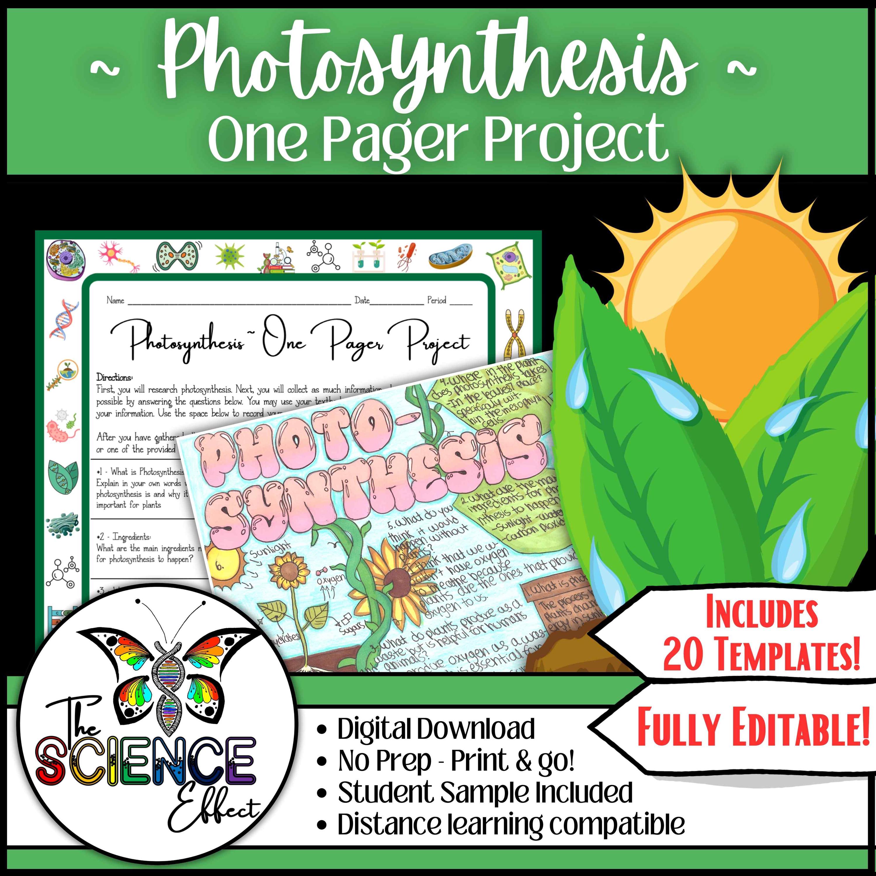 Photosynthesis One Pager Project: Science Research (digital Download ...