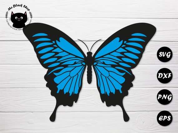 Free Free 262 Butterfly Decal Svg SVG PNG EPS DXF File