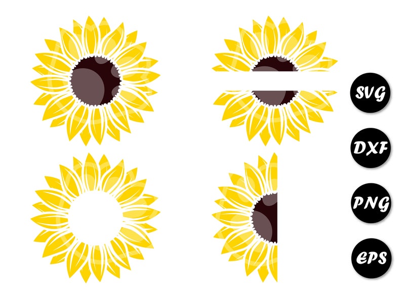 Download Sunflower svg Sunflower clipart Sunflower decal Circle | Etsy