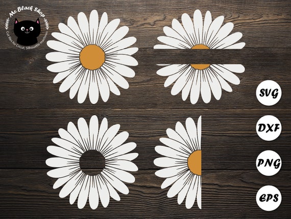 Download Daisy svg bundle Daisy frame svg Daisy half svg Circle | Etsy