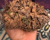 Rose of Jericho Plant- Jericho Flower - Resurrection Flower - Selaginella Lepidophylla - Abundance - Cleansing - Protection - Home Blessing