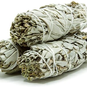 Bottle Enchantments Protection White Sage Magical Herbs Meditation Necklace image 9