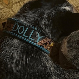 May include: A close-up of a dog wearing a black leather collar with the name "DOLLY" in turquoise letters. The collar has a turquoise stitched border and brown floral accents. The dog's fur is a mix of black and gray.
