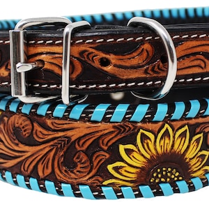 May include: A brown leather dog collar with a sunflower design. The collar features a turquoise stitched border and a silver buckle. The sunflower is yellow and brown, with detailed carving.