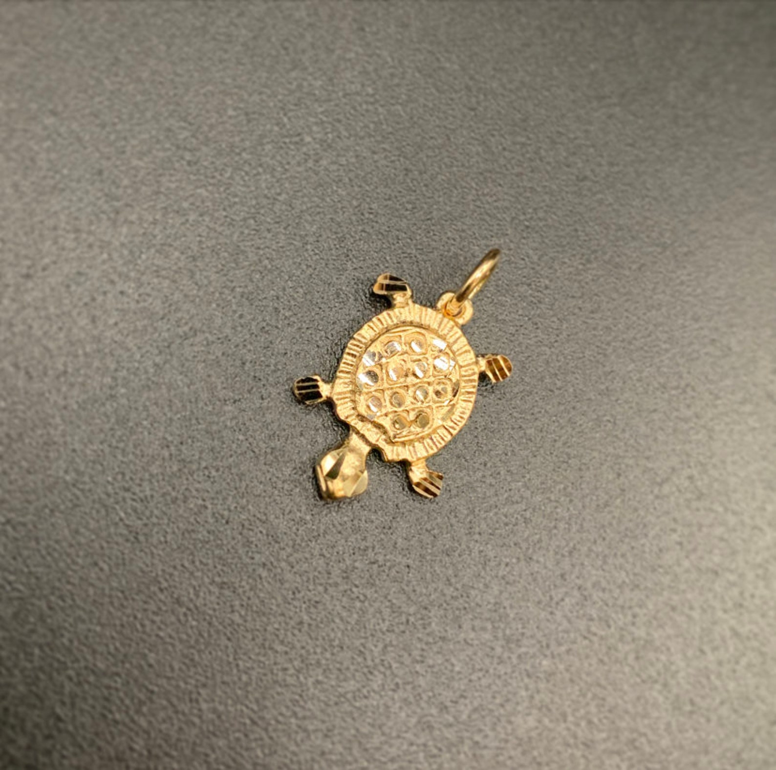 Cucina Elefante Sonaglio Tartaruga Di Terra Risveglio Dal Letargo Bellissimo Mes - Foto 7